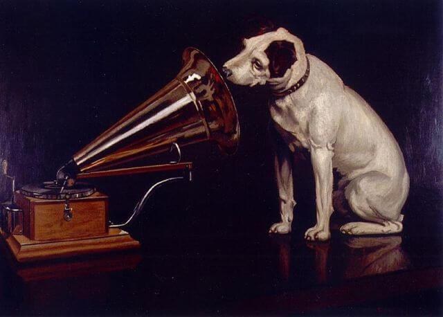 Dog looking at and listening to a Phonograph